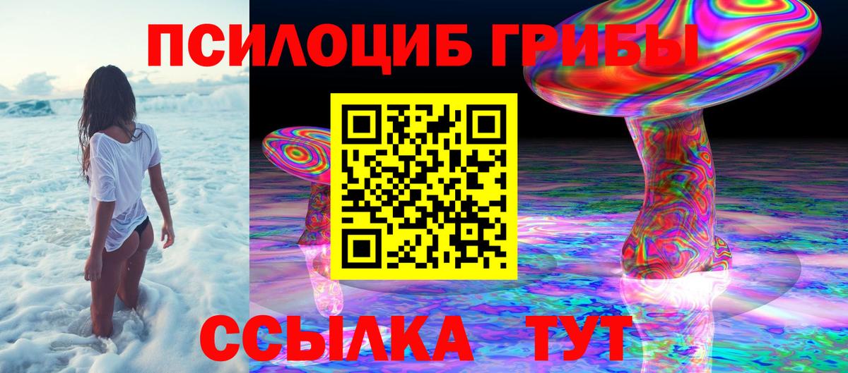 Галлюциногенные грибы Psilocybe Надым