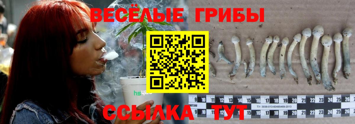 Галлюциногенные грибы Psilocybine cubensis  Псилоцибиновые грибы мицелий  закладки  Надым  Вход с VPN 